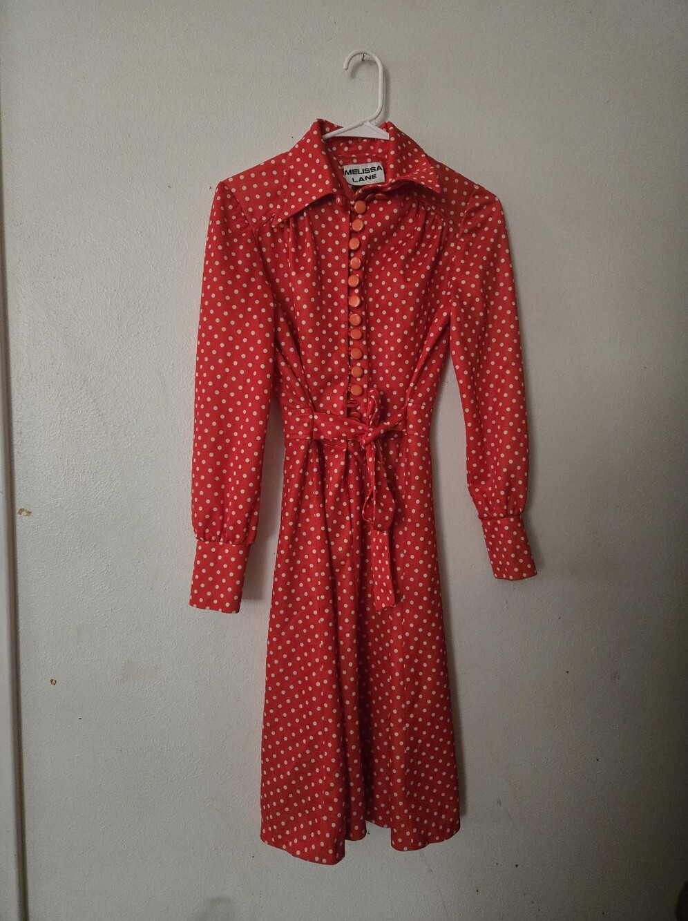 Melissa Lane Vintage Dress
